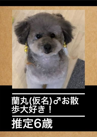 蘭丸