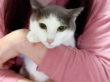ママの写真
