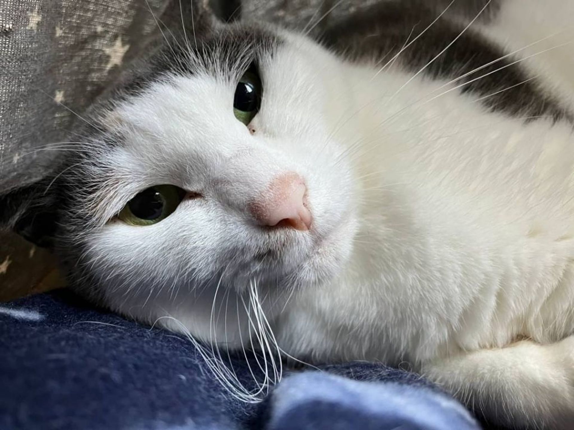 thumbnail-8