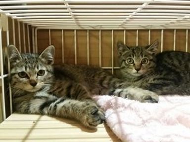 名無しちゃんの写真