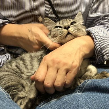 アリスの写真