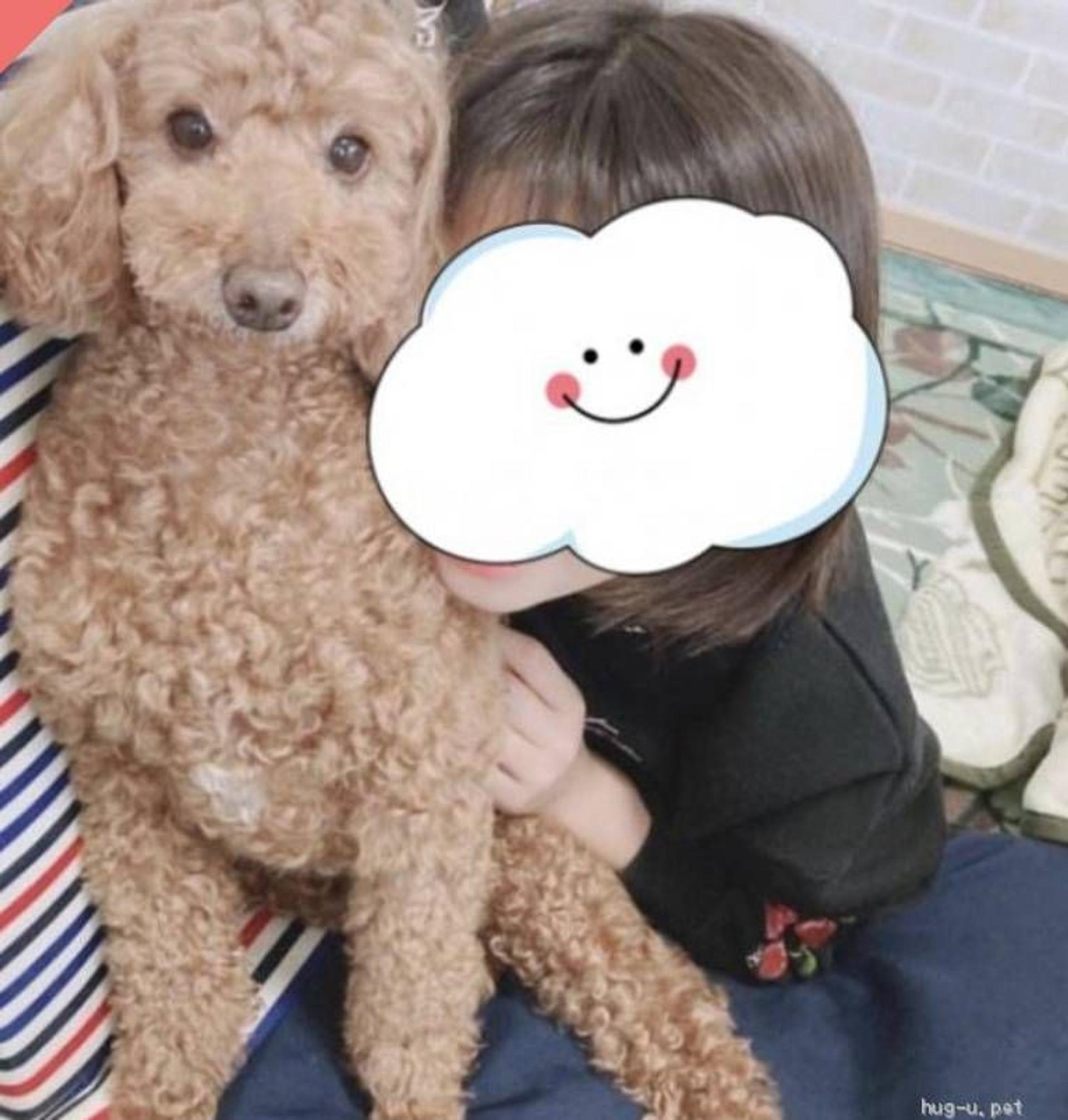 pet-image-4