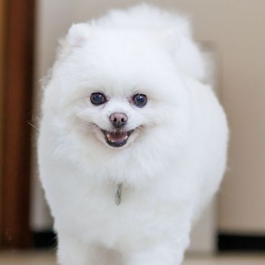 カシスちゃんの写真