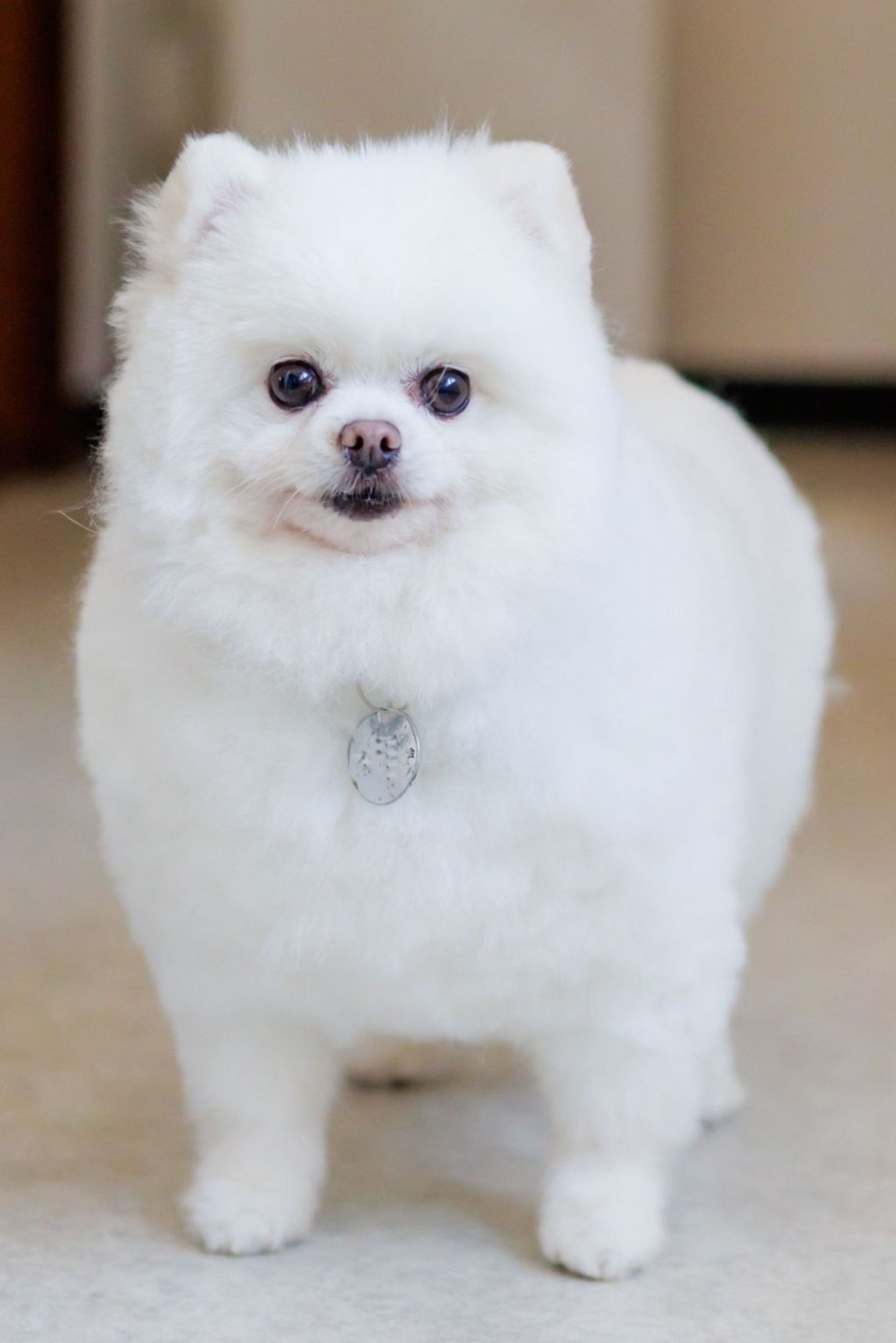 thumbnail-6