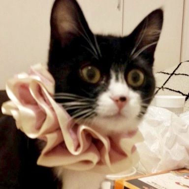 名無しちゃんの写真