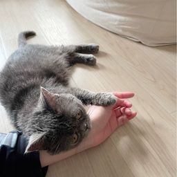 thumb-5