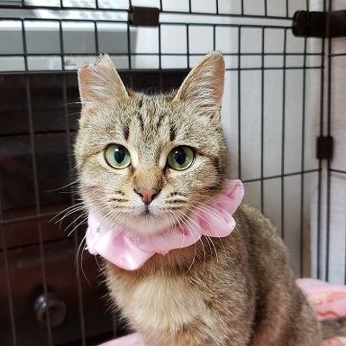 名無しちゃんの写真