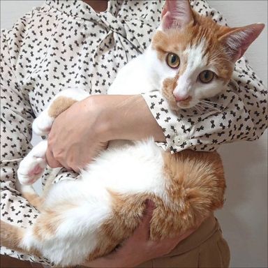 ちゃーくんの写真