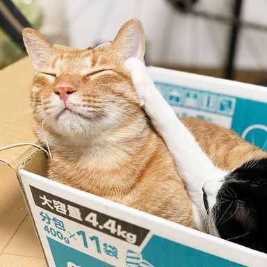 太陽の写真