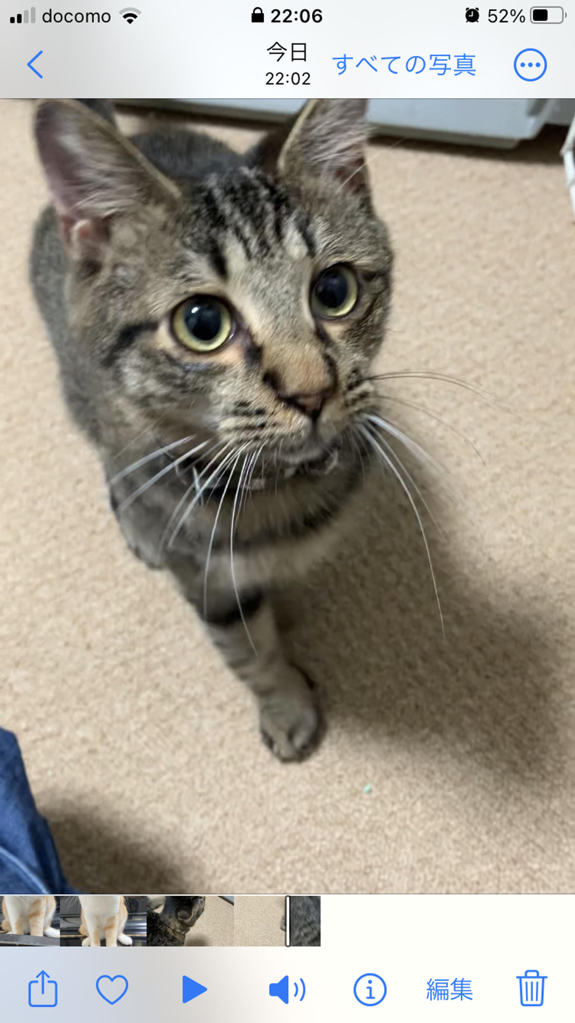 pet-image-3