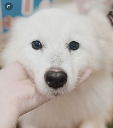 佐藤の写真
