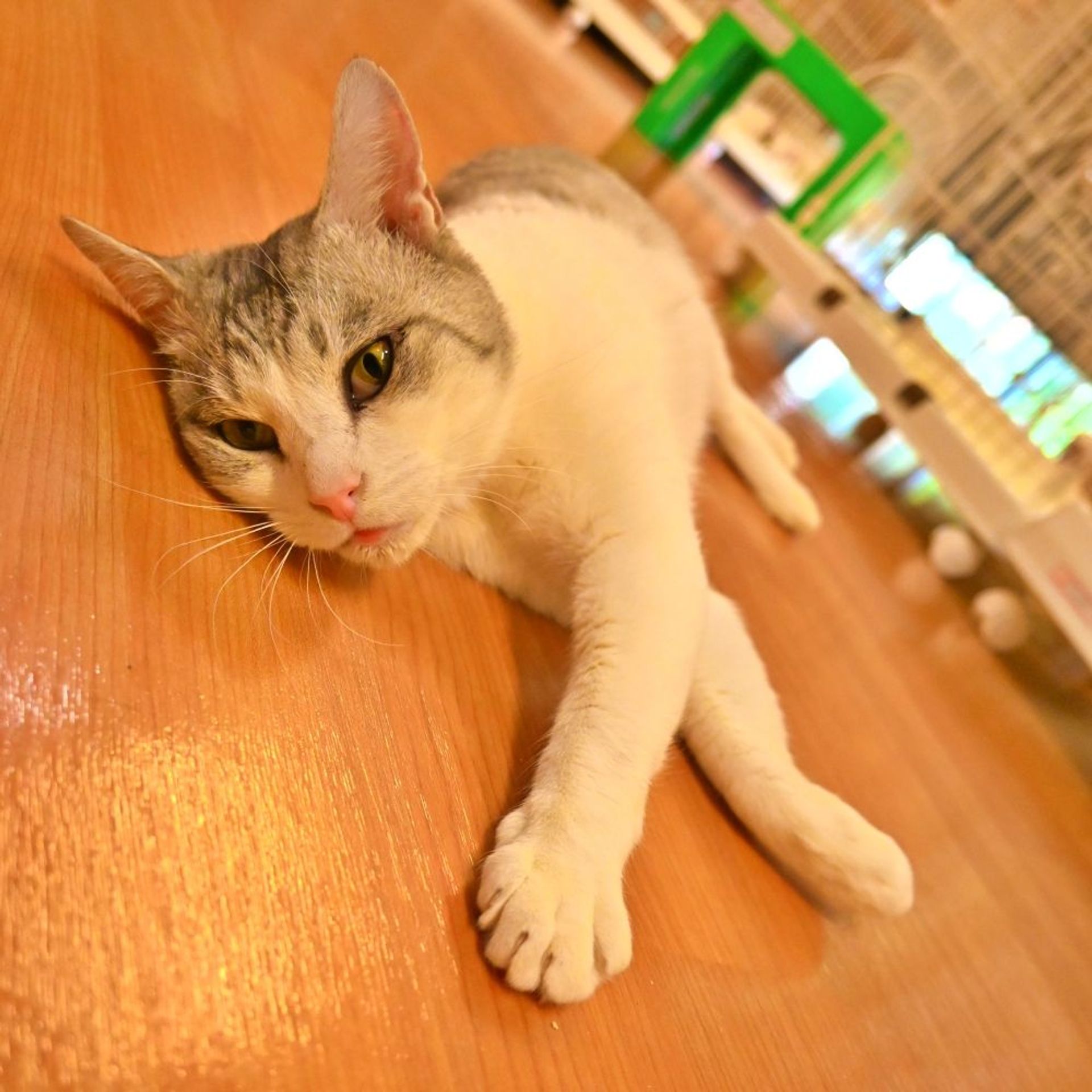 thumbnail-3