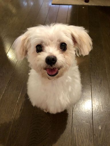 名無しちゃんの写真