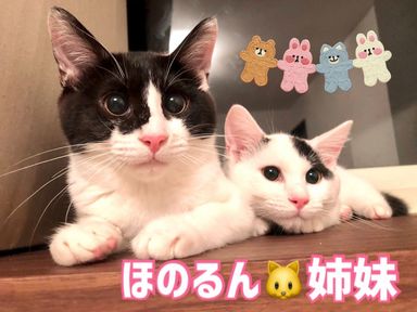 2日都内9日柏お見合い可♡美少女るんちゃんの写真