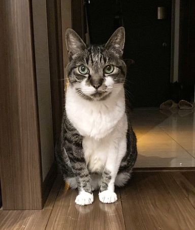 ムーくん