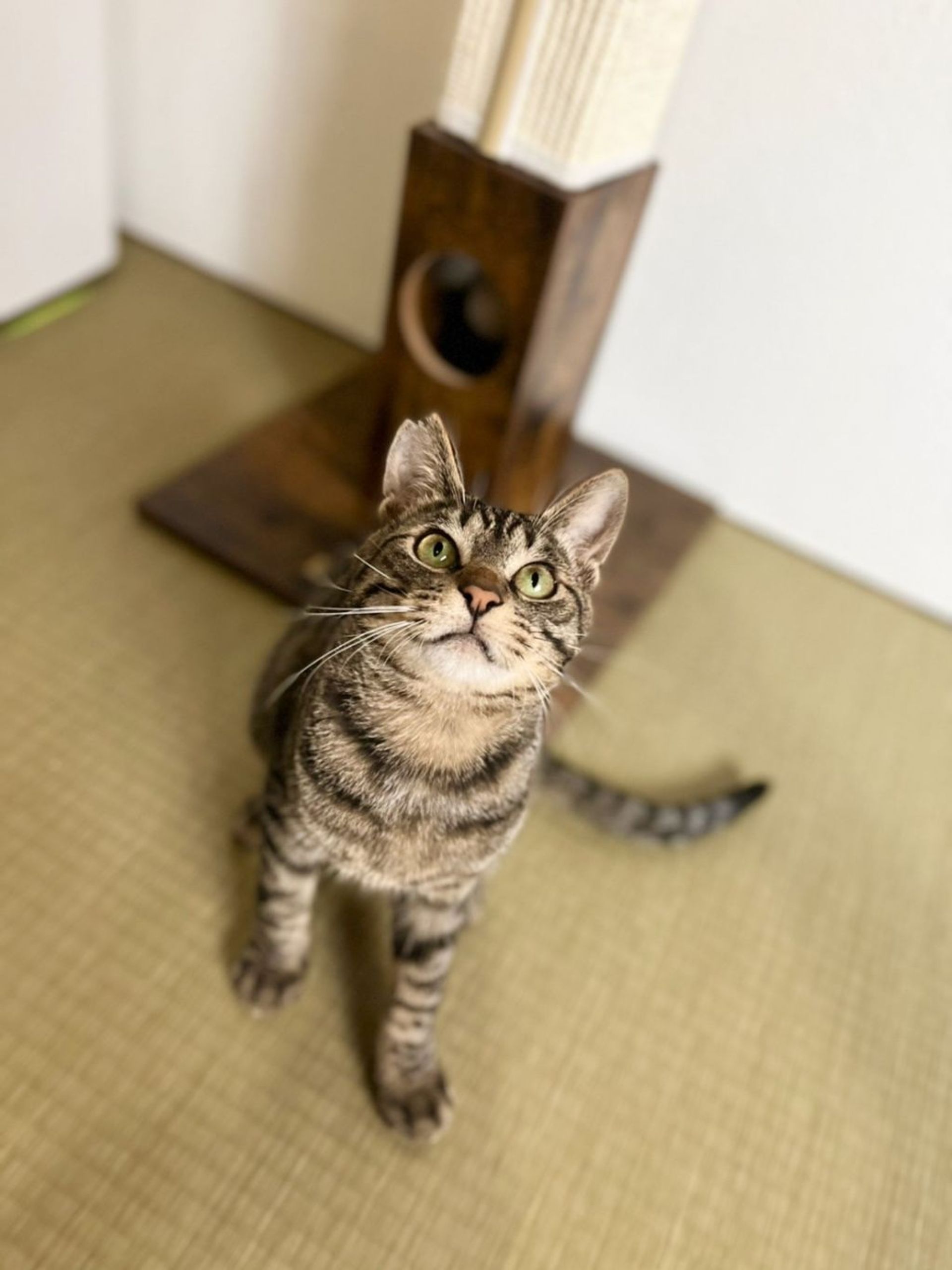 thumbnail-6