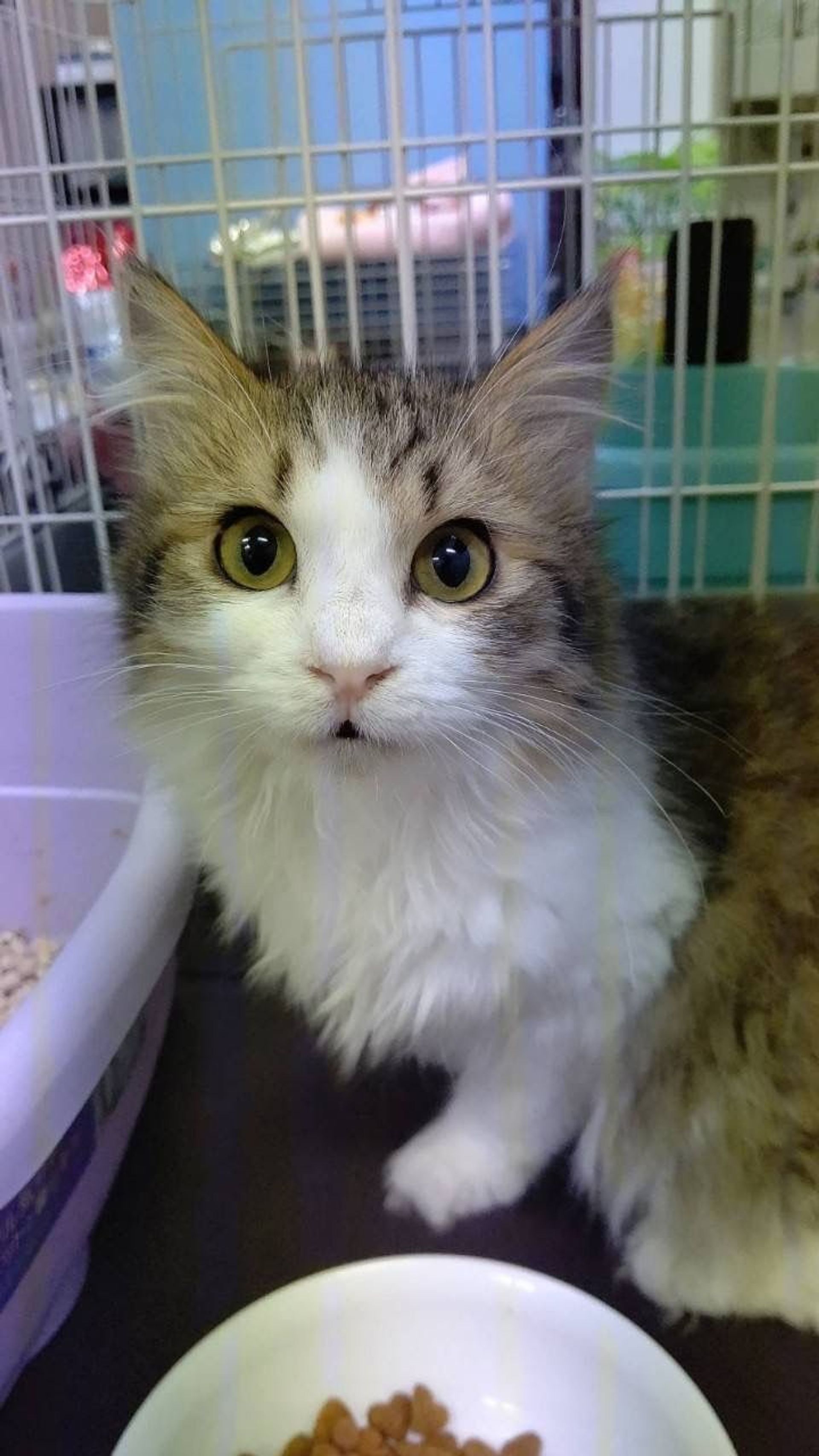 thumbnail-6