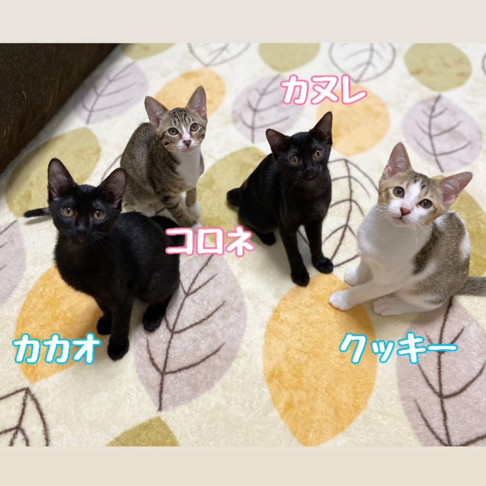 thumbnail-8
