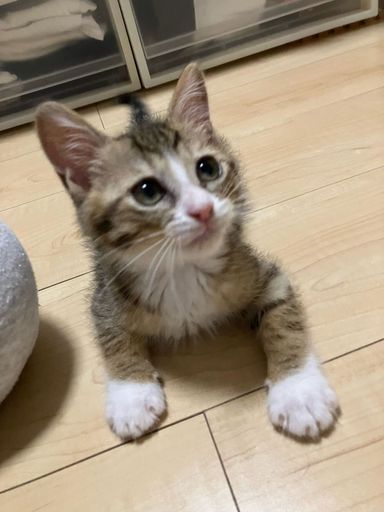そうたの写真