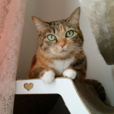 実の写真