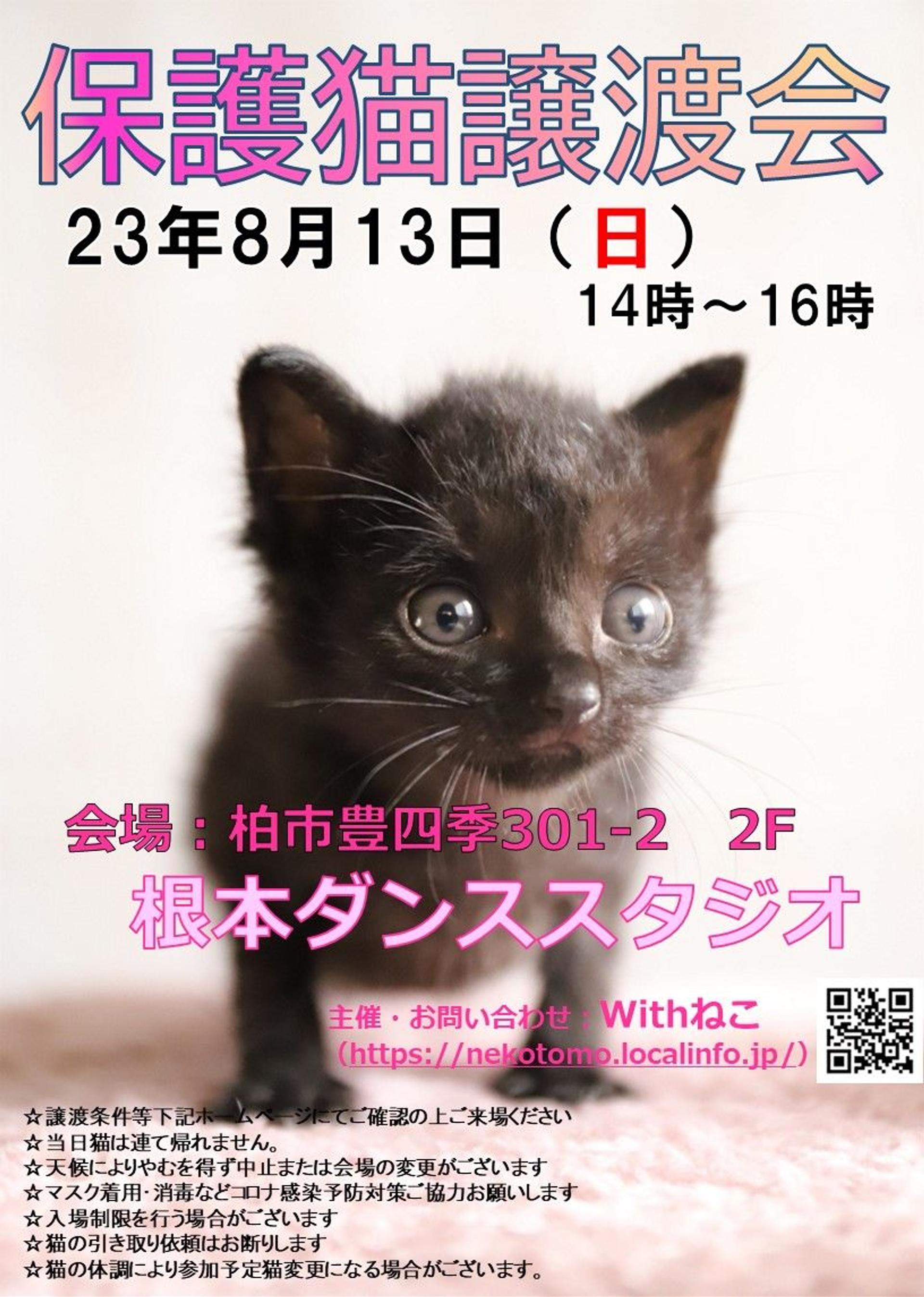 pet-image-8