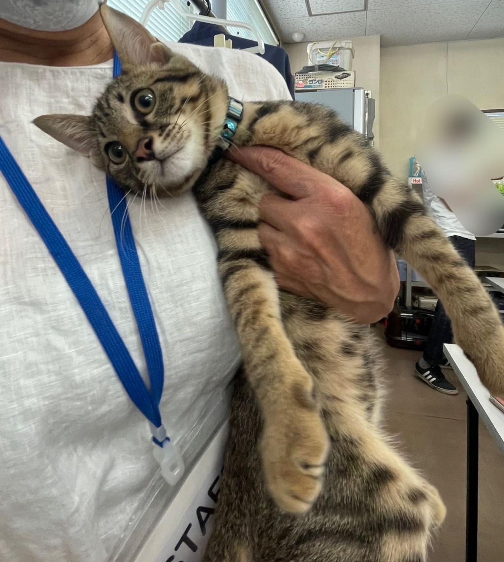 pet-image-4