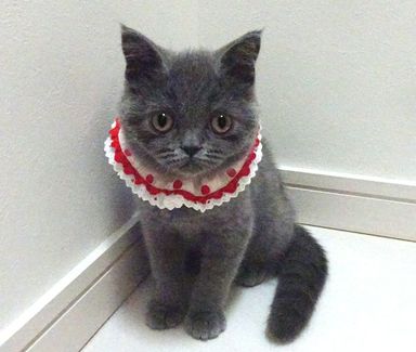 ペコちゃん