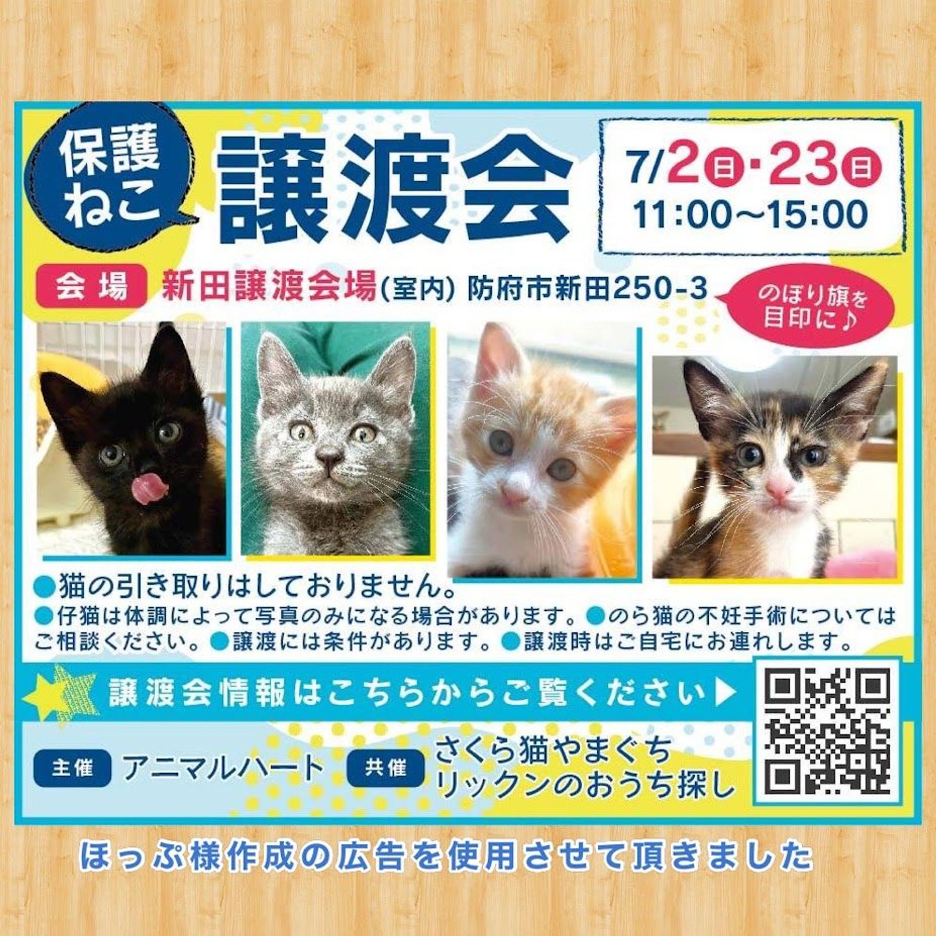 pet-image-7