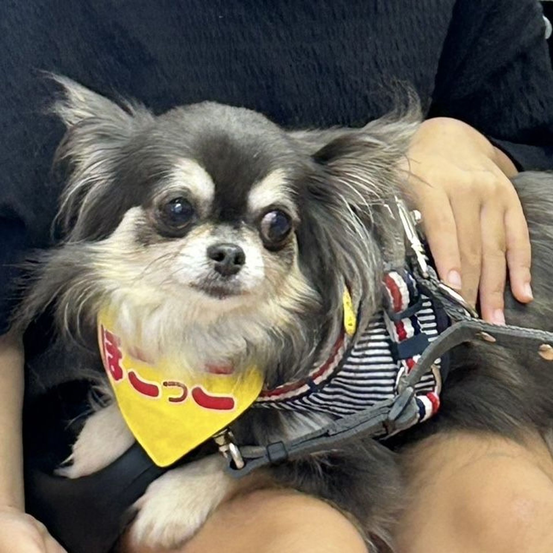 thumbnail-2