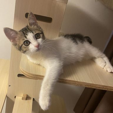 イリナの写真