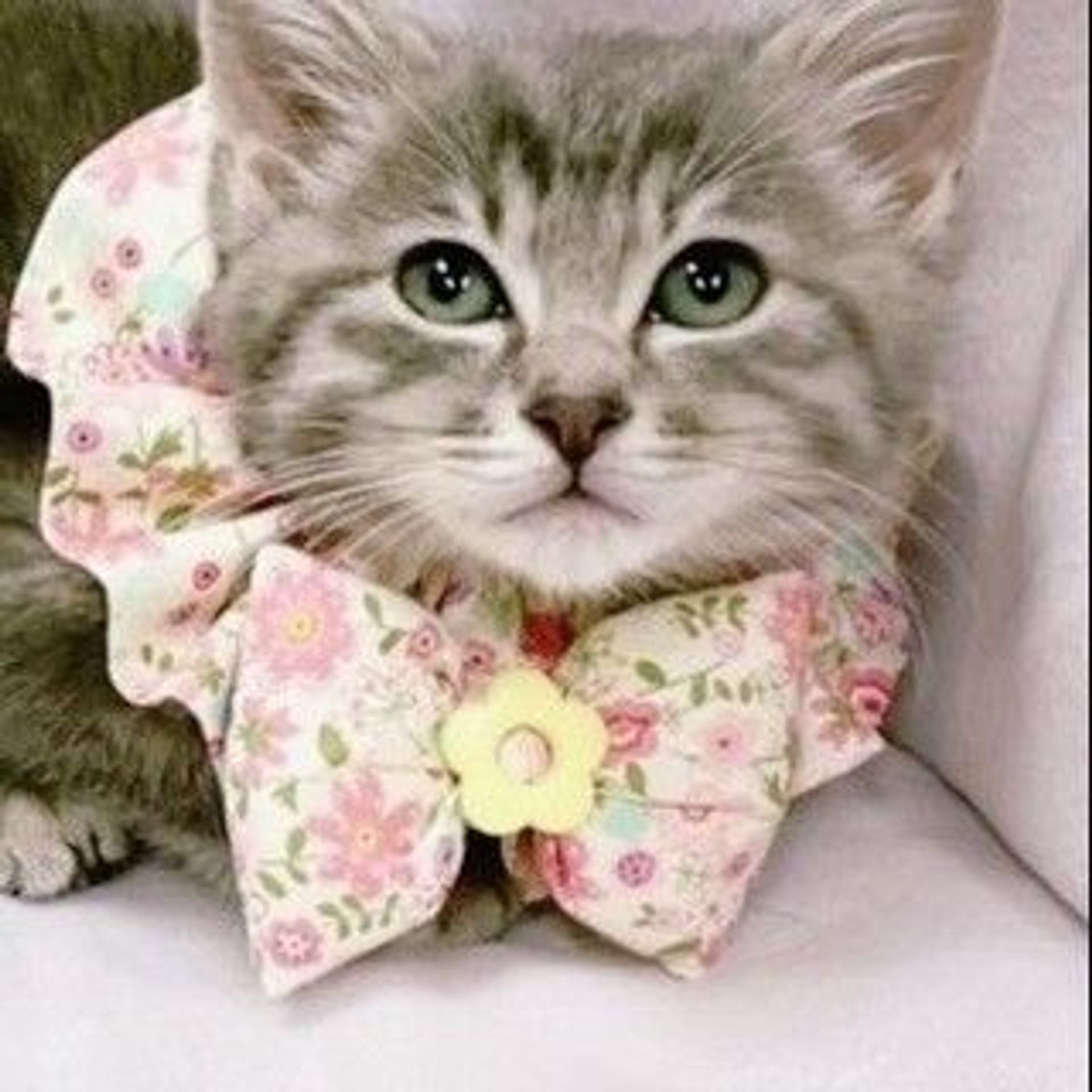 雑種（ミックス猫）・メスの里親募集の写真