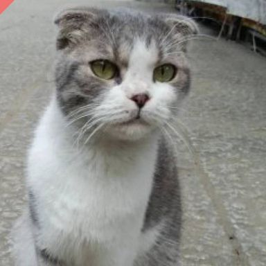 こっちゃんの写真