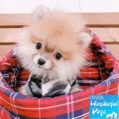 名無しちゃん