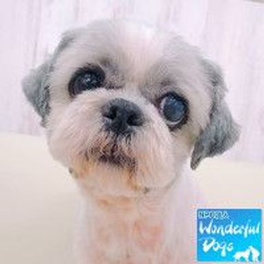 名無しちゃんの写真