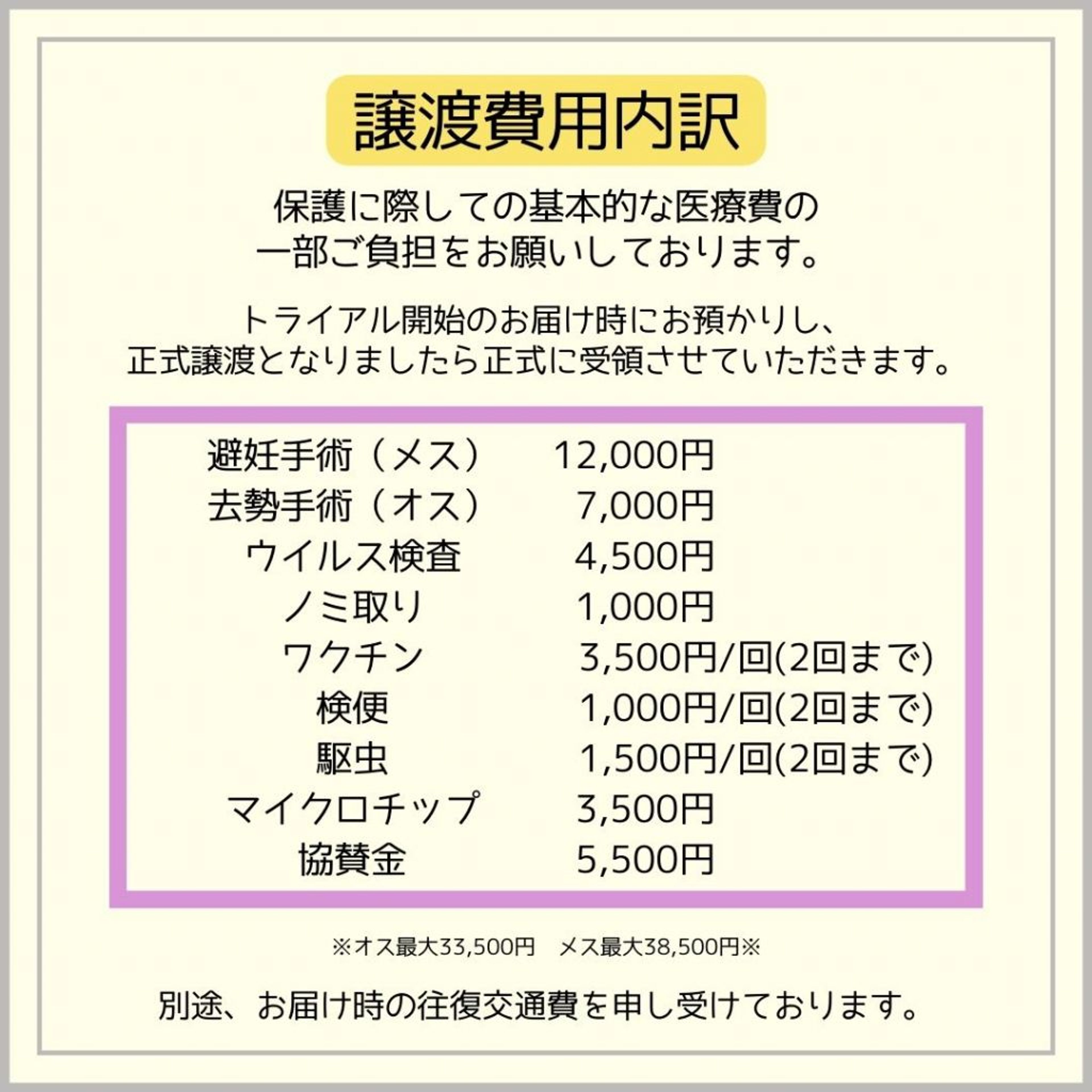 pet-image-8