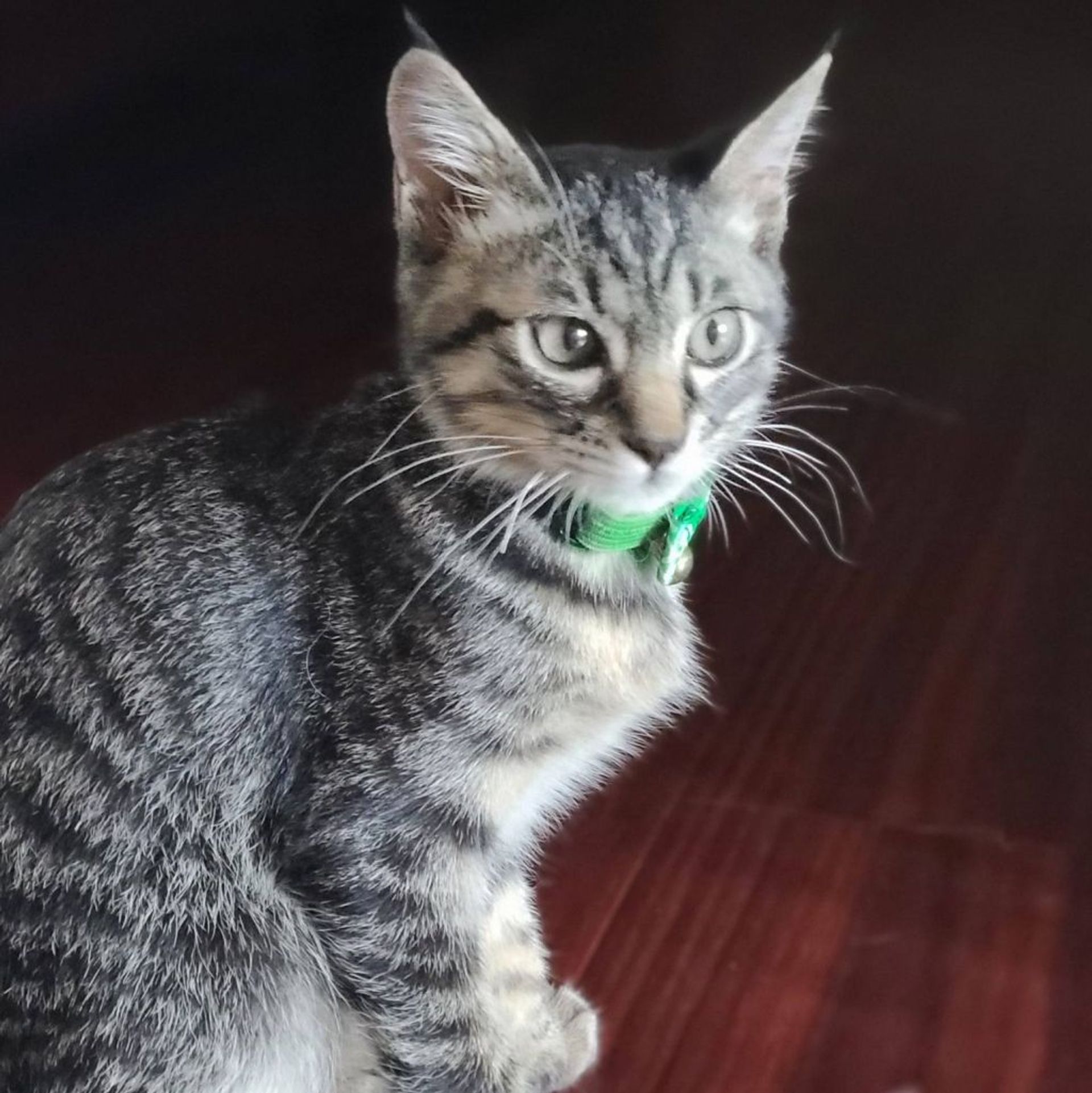 thumbnail-5