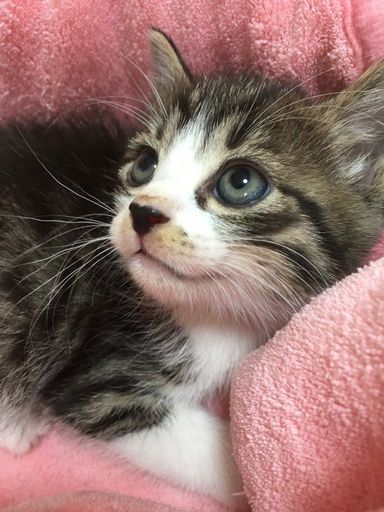 名無しちゃんの写真