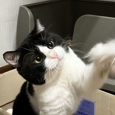 にぎ