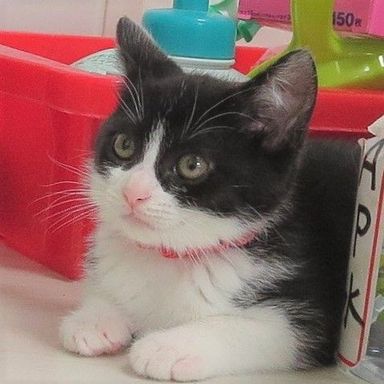 名無しちゃんの写真