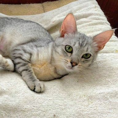 名無しちゃんの写真