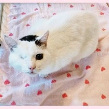 とわの写真