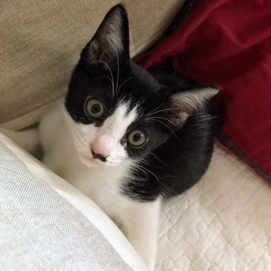 名無しちゃんの写真