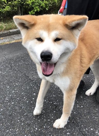 名無しちゃんの写真