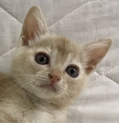 名無しちゃん