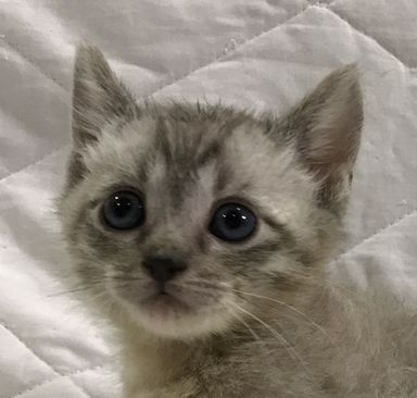 名無しちゃん