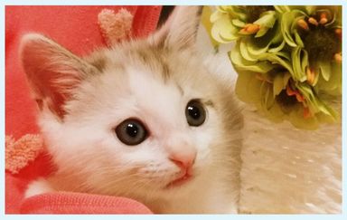 名無しちゃんの写真