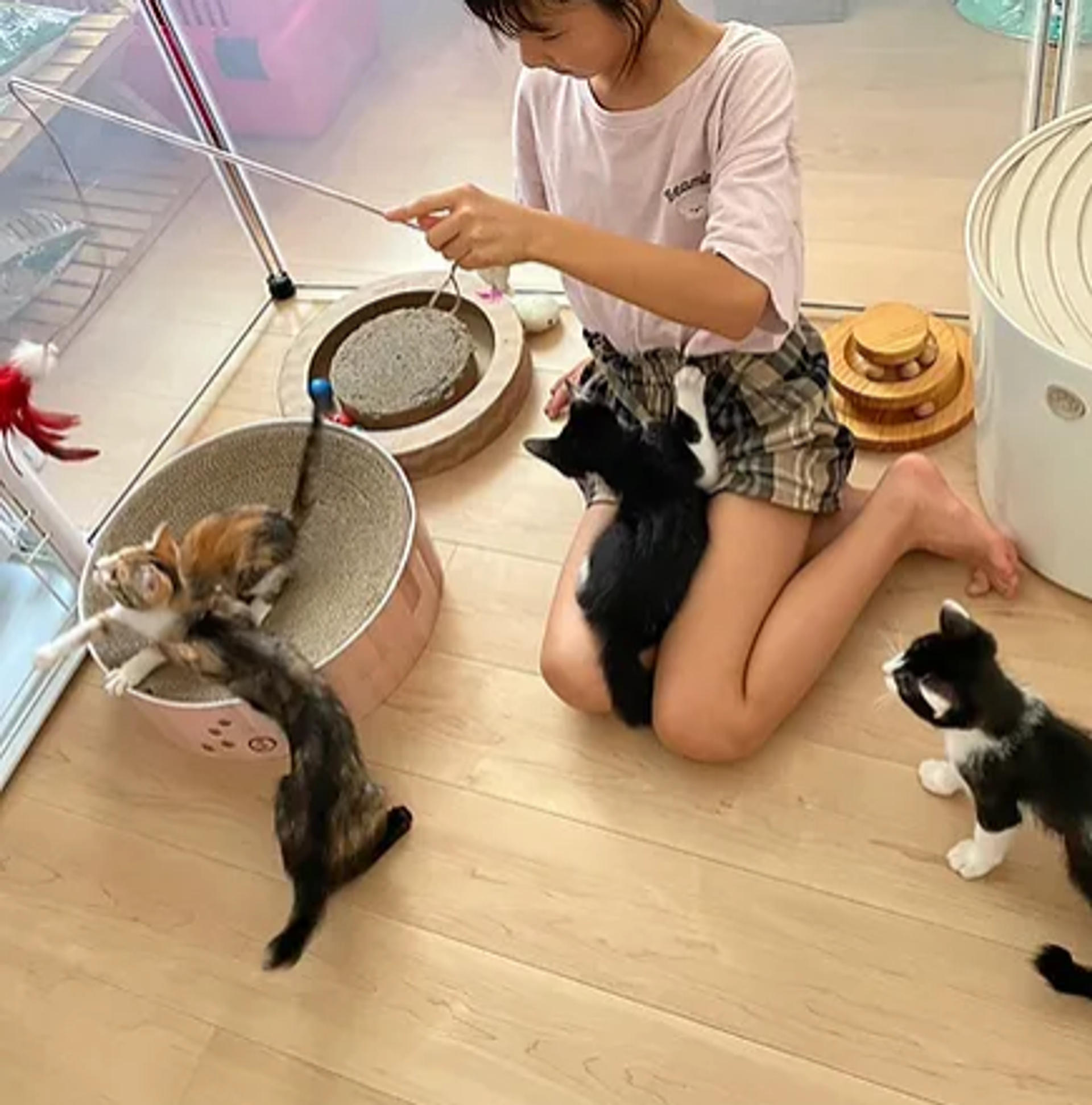 pet-image-5