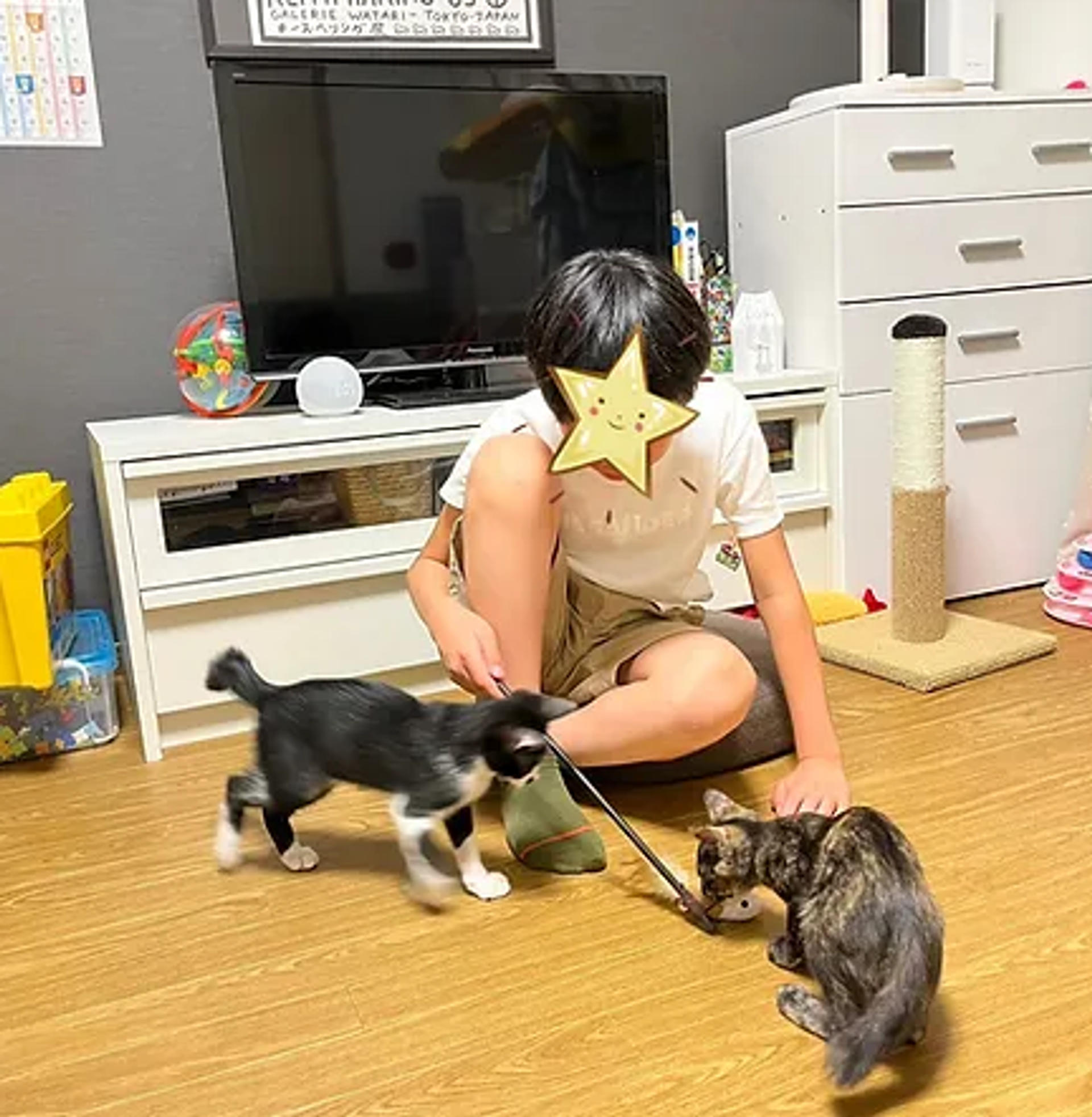 pet-image-3
