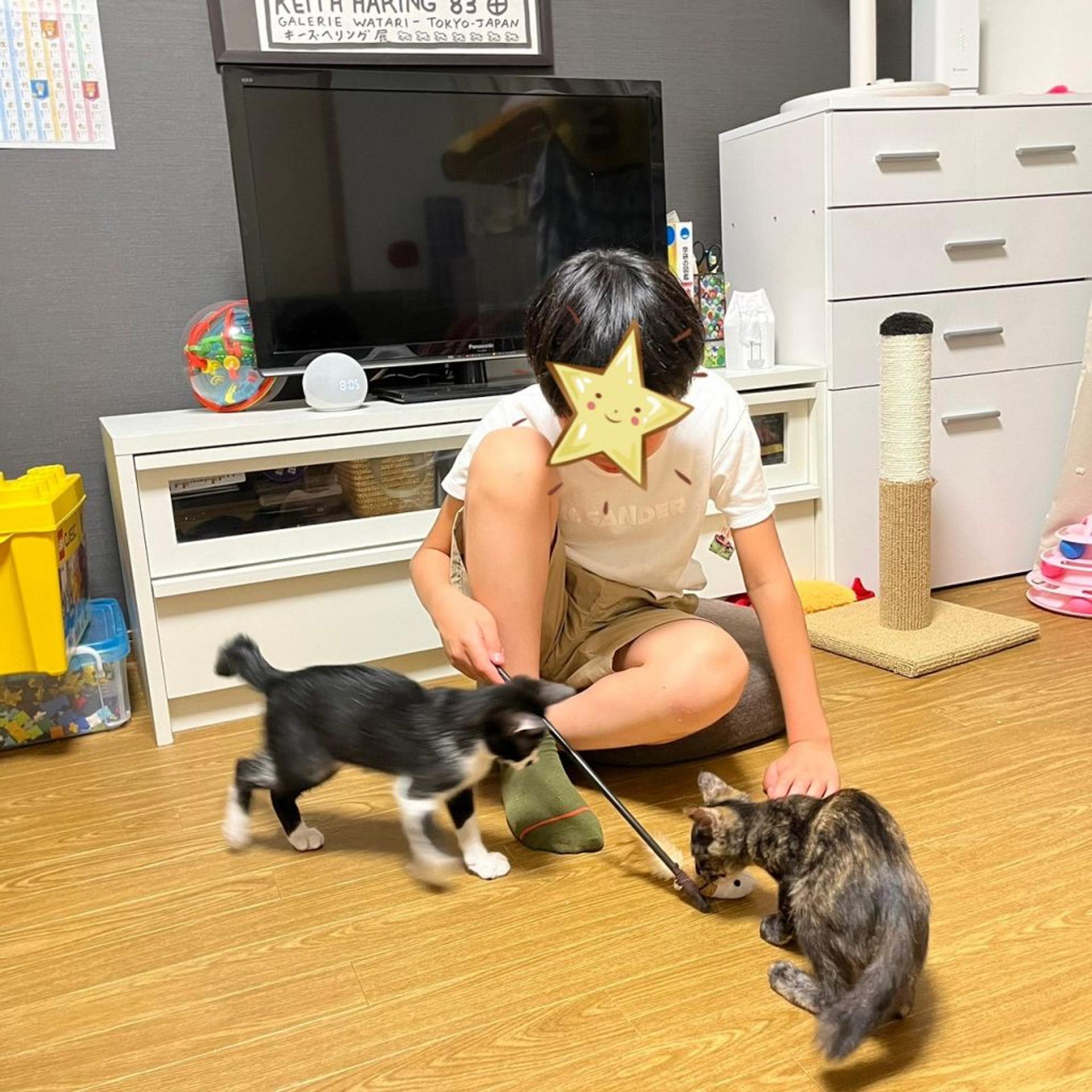 pet-image-4