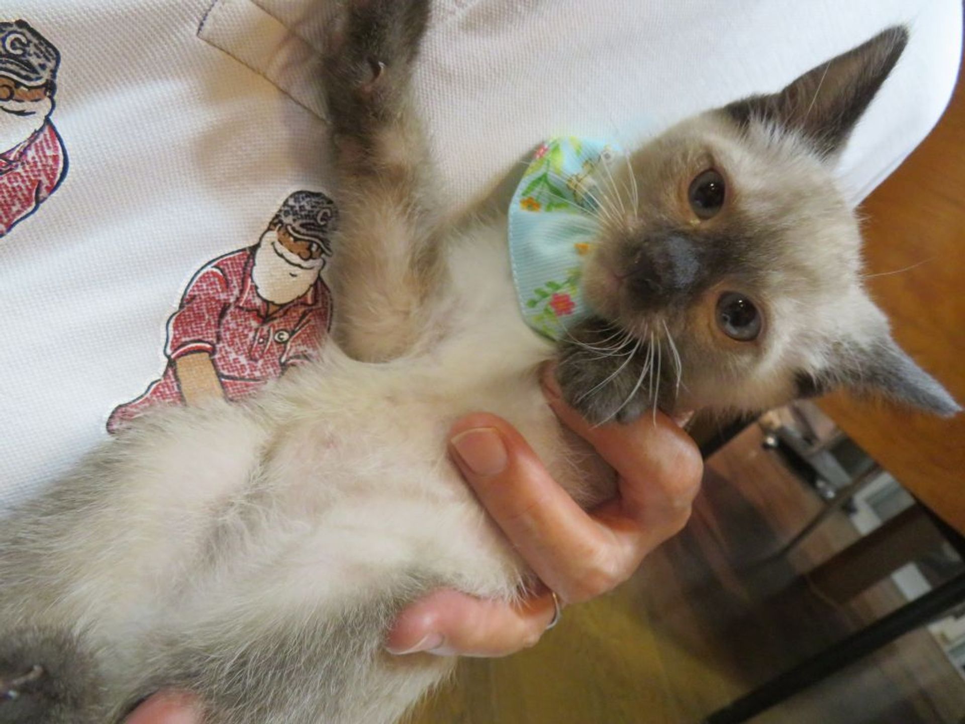 thumbnail-5